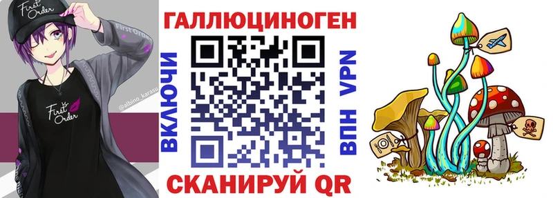 Купить  Великий Новгород  Псилоцибиновые грибы мицелий 