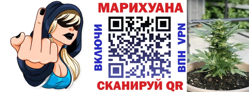 Купить закладки  Великий Новгород  МАРИХУАНА OG Kush 